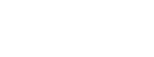 The Profi Trader